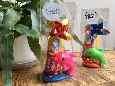 Traktatie dolfijn waterpistool (2)